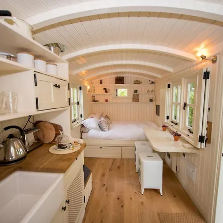 The Snug